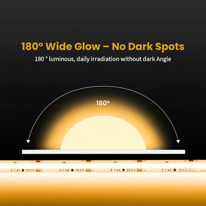 8mm COB Dotless LED Strip Lights - Warm White - 320 LEDs per meter