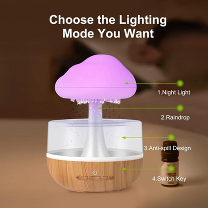 Rain Cloud Humidifier
