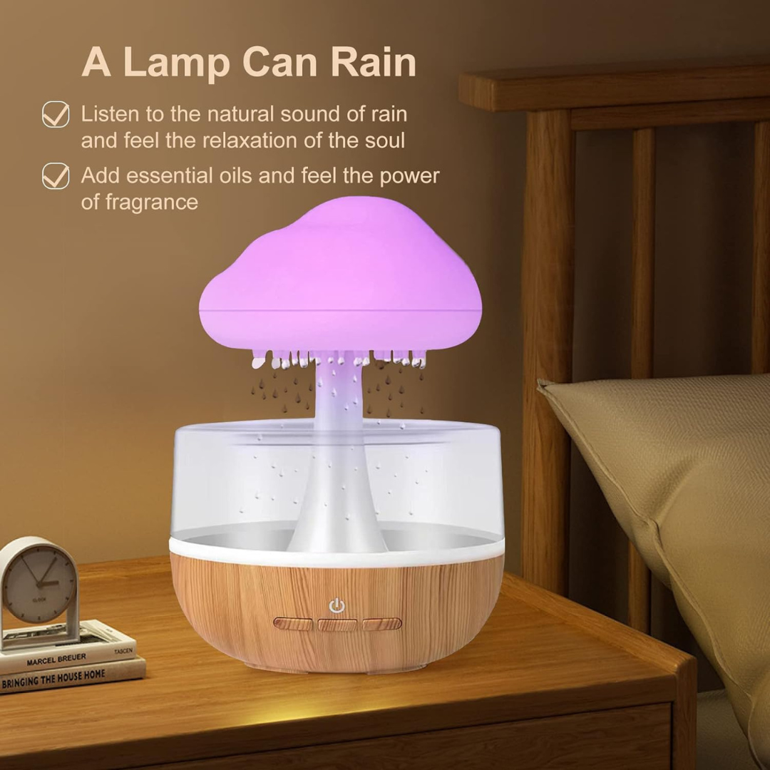 Rain Cloud Humidifier