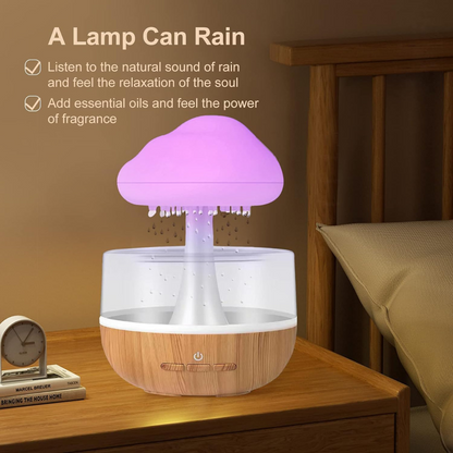 Rain Cloud Humidifier