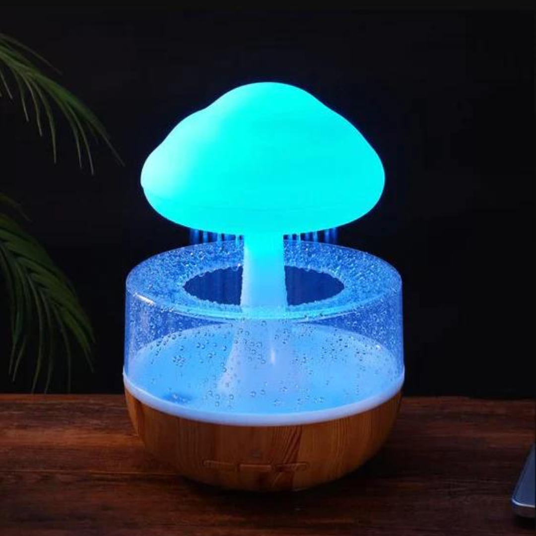 Rain Cloud Humidifier