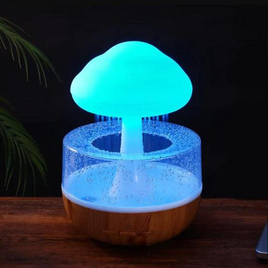 Rain Cloud Humidifier