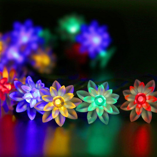 LED Daisy Flower Decorative String Light - Multi