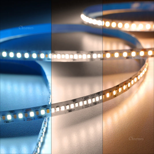3 in 1 CCT Tunable LED Strip Lights 10m Kit with Controller and Driver