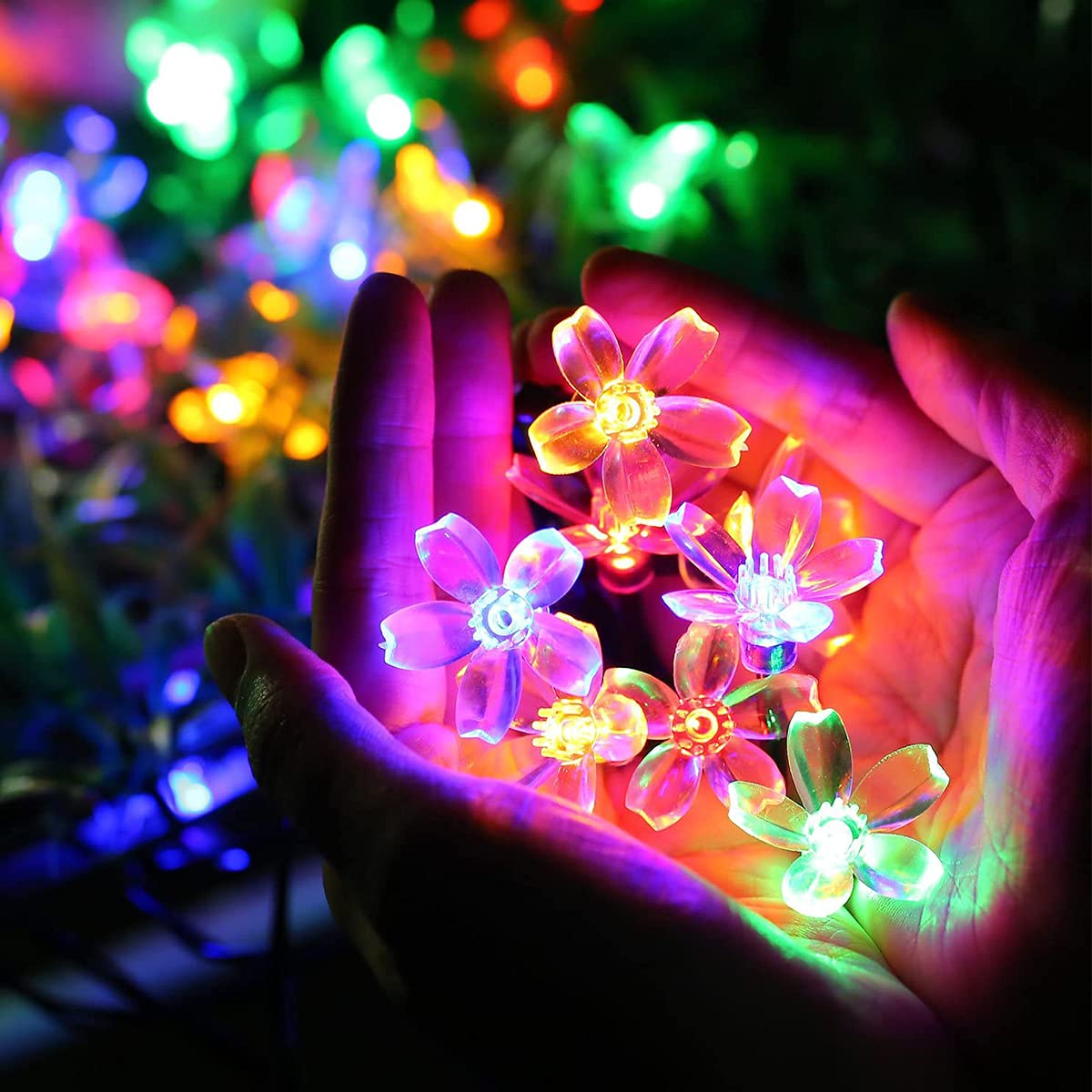 Sakura Flower Decorative String Lights - Multi