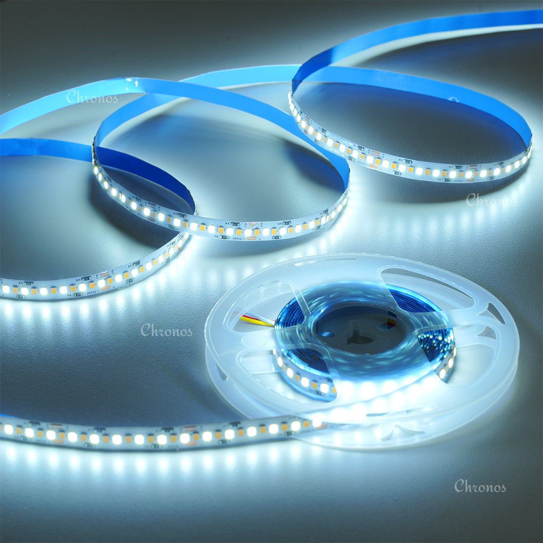 3 in 1 CCT Tunable LED Strip Lights 10m Kit with Controller and Driver