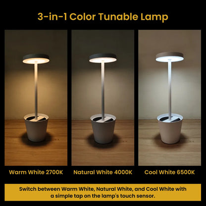 Corby Portable Rechargeable LED Table Lamp