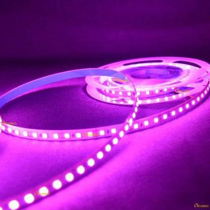 120 LED Strip Lights - Pink - 5m - 12V - 2835 SMD LED