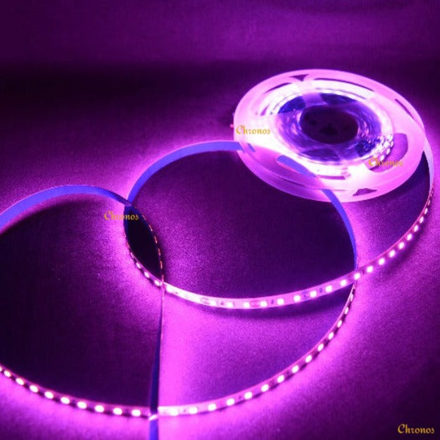 120 LED Strip Lights - Pink - 5m - 12V - 2835 SMD LED