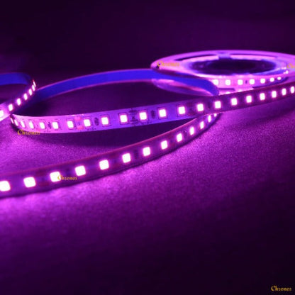 120 LED Strip Lights - Pink - 5m - 12V - 2835 SMD LED