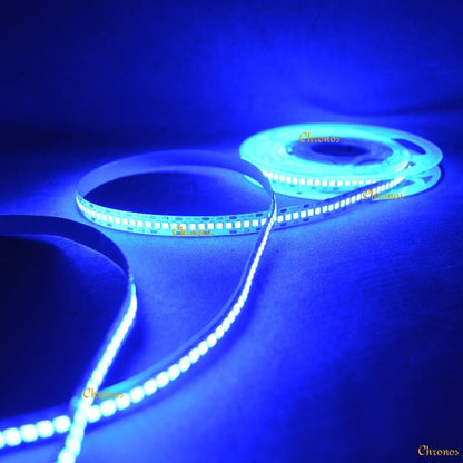 240 LED Strip Lights - Blue - 5m - 12V - 2835 SMD LED