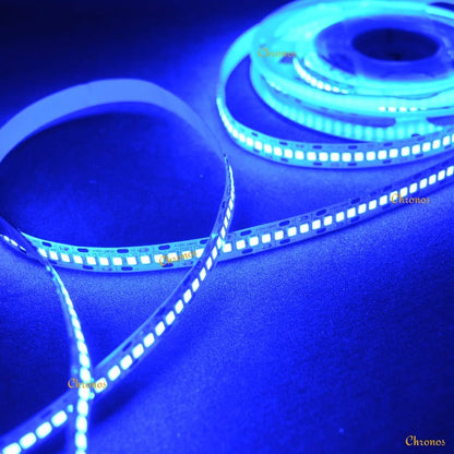 240 LED Strip Lights - Blue - 5m - 12V - 2835 SMD LED
