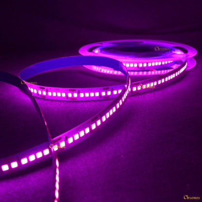 240 LED Strip Lights - Pink - 5m - 12V - 2835 SMD LED