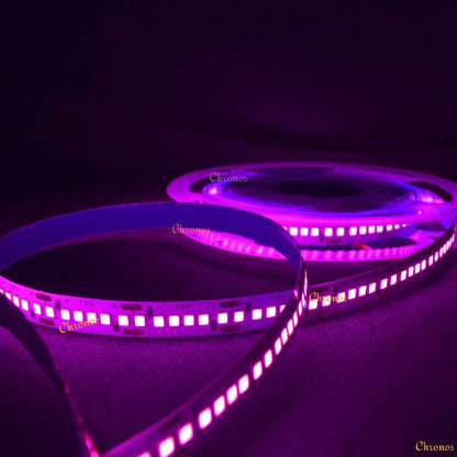 240 LED Strip Lights - Pink - 5m - 12V - 2835 SMD LED