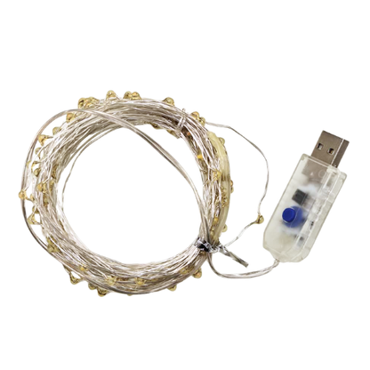 Copper Wire Fairy LED String Lights - USB Operated | 8 Function Remote Control | Multi