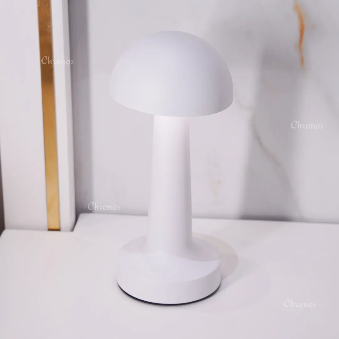 Dome Portable LED Table Lamp