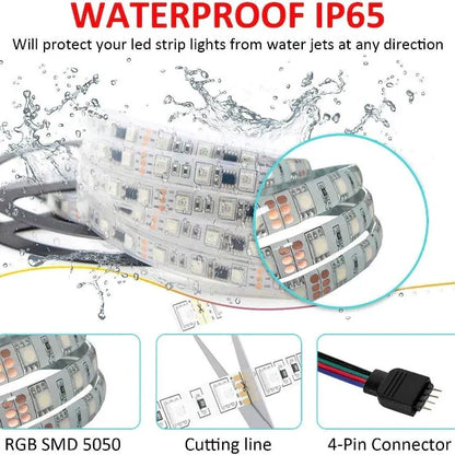 LED Strip Light RGB Multicolor 5050 | 16 Color 24 Key Remote Control