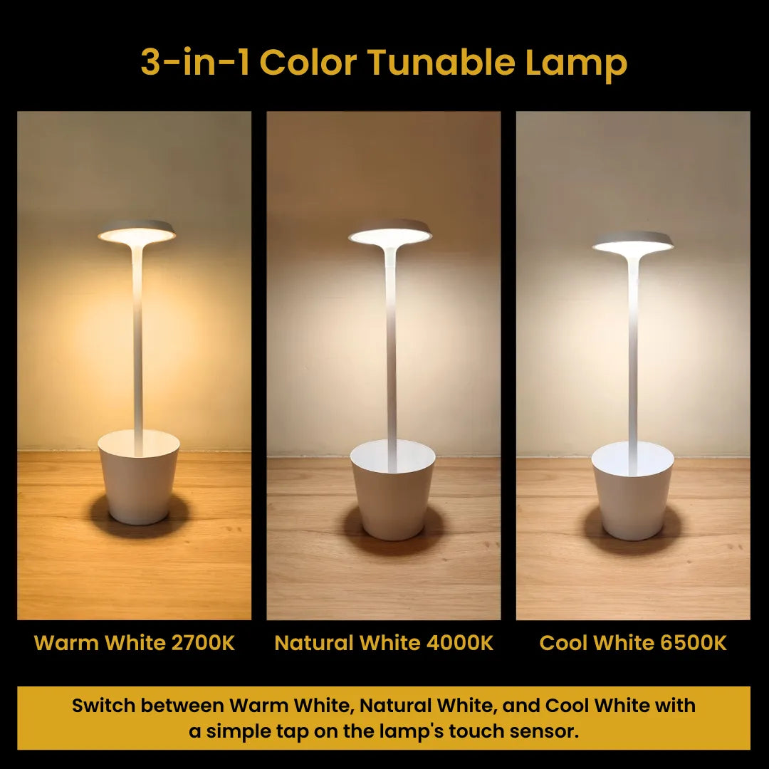 Lunasta Portable Rechargeable LED Table Lamp