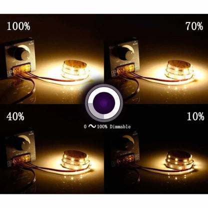 LED Dimmer with Manual Knob DC12-24V 30A
