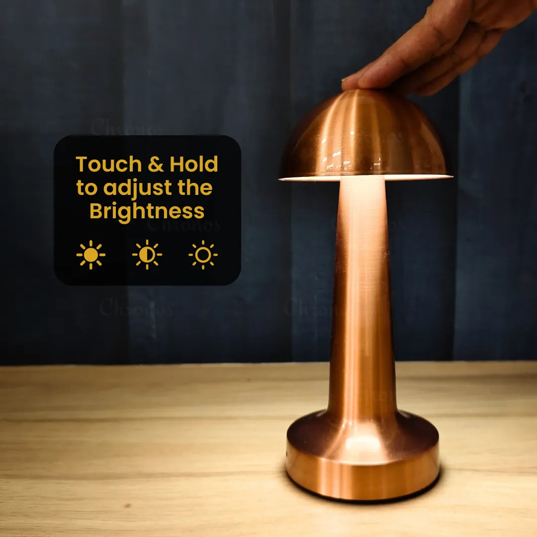 Dome Portable LED Table Lamp