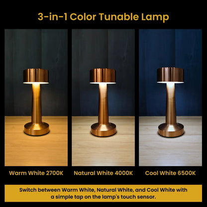 Modern Portable LED Table Lamp