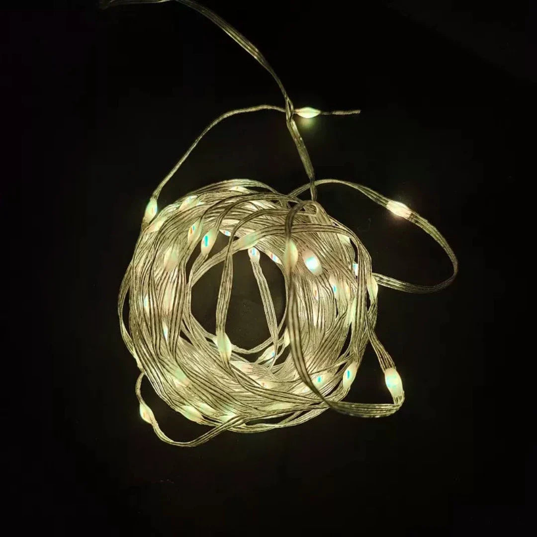 Dream Fairy Lights - Smart Pixel RGBIC LED 33ft 10m USB Powered | Remote Controller & Smart App